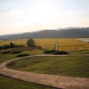 수촌리 고분군 이미지