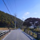 외만 마을회관 옆 이미지