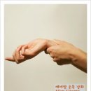 얼라이브01(alive01) 이미지