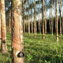 가구쟁이 정무영 이미지