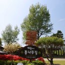 예솔이네통나무집
