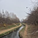 인천북구도서관 관리동 | 부평 굴포천 벚꽃 사전답사 후기(개화율,주차,꿀팁까지)