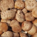 고씨네 농장 이미지