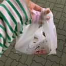 치킨신드롬(정관점) | 정관 치킨신드롬 데리치킨 후기
