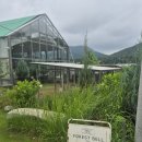 천지휴게점 | 용인 아이랑 실내가볼만한곳 포레스트벨 체험농장｜동물체험과 후기