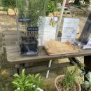 나비텃밭농원 이미지