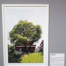 사파동235 이미지