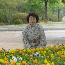 숲쟁이 이미지