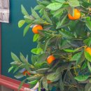 마레 스크린골프펜션 이미지