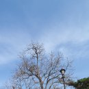 송죽원추어탕메기매운탕 이미지