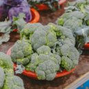 고성오일시장 이미지