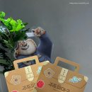 미션 | 더현대 주토피아 팝업 (시크릿 미션) 웨이팅 후기