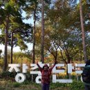 2022년10월29일(토요일) 서울 남산 둘레길~ 매봉산~금호산 총천연색 낙엽카페트길 이야기들~ 이미지