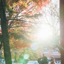 _방배천로중앙1 이미지