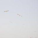 꽃향기 바다내음 이미지