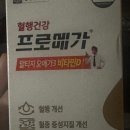 영양제 박사들이나 약사바오들아 헬프 이미지