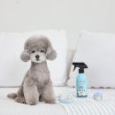 펫 패밀리 이미지