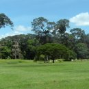 길거리 풍경스케치 이미지