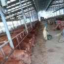 연흥농장 이미지