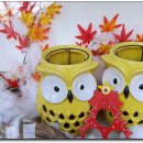 하얀허브 이미지