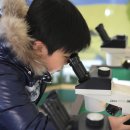 아라크노피아생태수목원 Daum카페