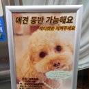 더키친바이슈가 이미지