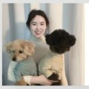 에프에이치엘 이미지