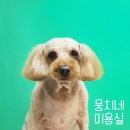 뭉치네 미용실 이미지