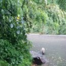 승학산 배드민턴장 이미지