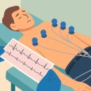 🚑 가마솥더위 속 응급상황으로 -119 구급차 이송 후기