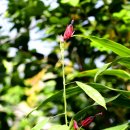 레드시크릿 이미지