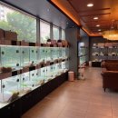 도그마루 강아지고양이 평택점 이미지