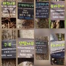 (주)지식발전소 | 어승생악에 올라 ㅡ 깜놀~! 어느덧 제주 20년 살이, 어디까지 가봤니?