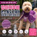 철다리 | 강아지우비 논스톱도그웨어 피오르드 레인코트2.0 장마철 산책 후기