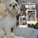 반려동물의류및용품제작(야간) | 율무 용품 | 커스텀맨투맨제작 웨어탯 반려견 커스텀웨어 제작 후기
