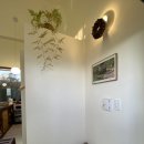 표선면 세화리 | 제주도 서귀포 펜션 아늑한 독채, 뷰 맛집 오를 다녀온 후기!