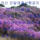 제11회 고려산(강화도) 2011년5월01일 이미지