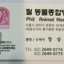 필동물병원 이미지