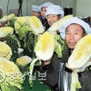 괴산마트영농조합법인 이미지