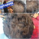 숲칼프남양주;퇴계원역점 | 두피 관리의 신세계! 남양주두피관리, 숲칼프 남양주퇴계원역점 방문 후기