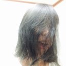 보라헤어샵 네이버블로그