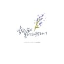 캘리그라피글꼴