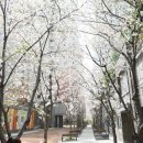 R114공인중개사사무소 이미지