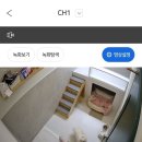 간식타임24 | [대구범어동] 수성구 애견호텔링 위탁서비스 '애견호텔타임24' 솔직후기