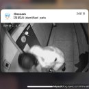 pet41라3876 | 벌써 3월의 반이 지났다니!