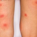 늘편한의원 이미지