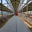 지정농장 이미지