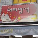 남·여 머리염색 구피샵