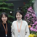 화순군농업기술센터 이미지