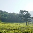 강진 버스여객터미널 | 해남/강진(강진만자전거길) 라이딩(해남종합버스터미널-강진버스여객터미널)